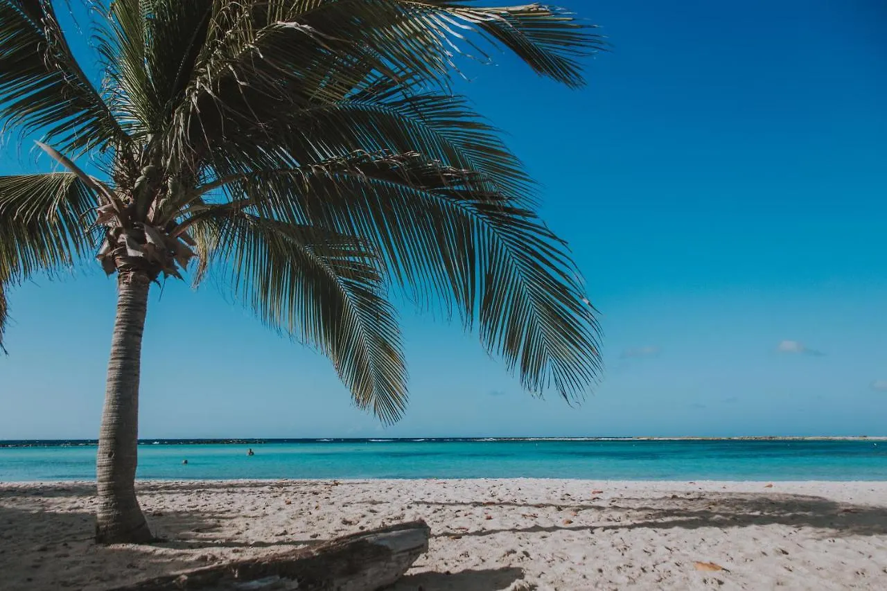 Appartement Experience The Groovy Harbour House Lifestyle à Oranjestad 0*,  Aruba