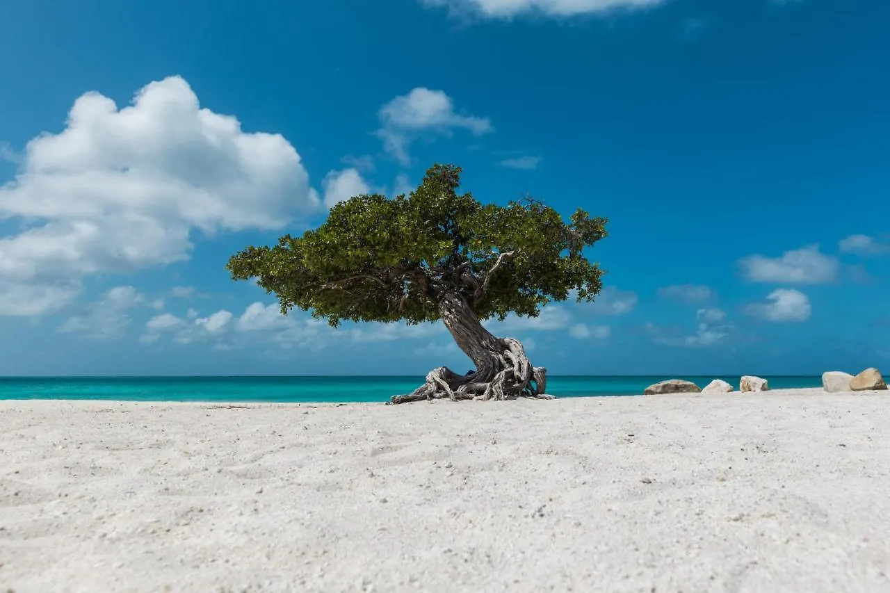 Appartement Experience The Groovy Harbour House Lifestyle à Oranjestad